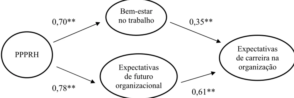 Figura 3. Coeficientes padronizados do modelo alternativo 1 (A1). PPPRH=Percepções de políticas e  práticas de recursos humanos