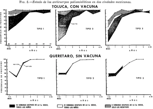 FIG.  5.-Estado  de  los  anticuerpos  poliomielíticos  en  dos  ciudades  mexicanas. 