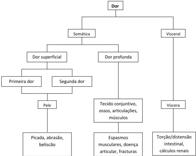 Figura 1 - Diagrama de caracterização de dor e sua origem. 