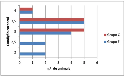 Gráfico 5 - Condição corporal dos animais em estudo por grupo de estudo  (Grupo C e Grupo F)