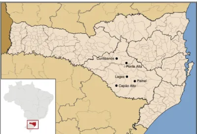 Figura 7. Mapa do Estado de Santa Catarina, com destaque para os municípios de Curitibanos, Lages,  Capão Alto, Painel e Ponte Alta