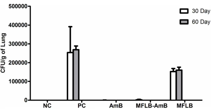Fig 5. Fungal burden as assessed by CFU from mice lungs treated with AmB, MFLB-AmB, and MFLB