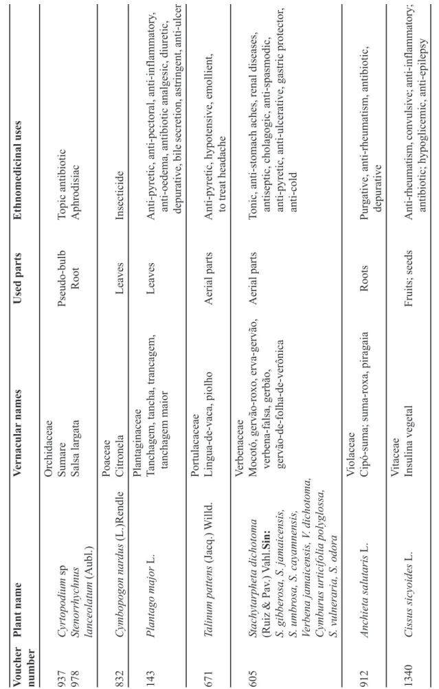 TABLE I - (cont.) Ethnobotanical data on medicinal species used in Governador Valadares District VoucherPlant nameVernacular namesUsed partsEthnomedicinal uses number Orchidaceae 937Cyrtopodium spSumarePseudo-bulbTopic antibiotic 978StenorrhychnusSalsa lar