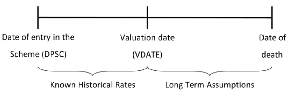 Figure 4. Historical rates and assumptions 