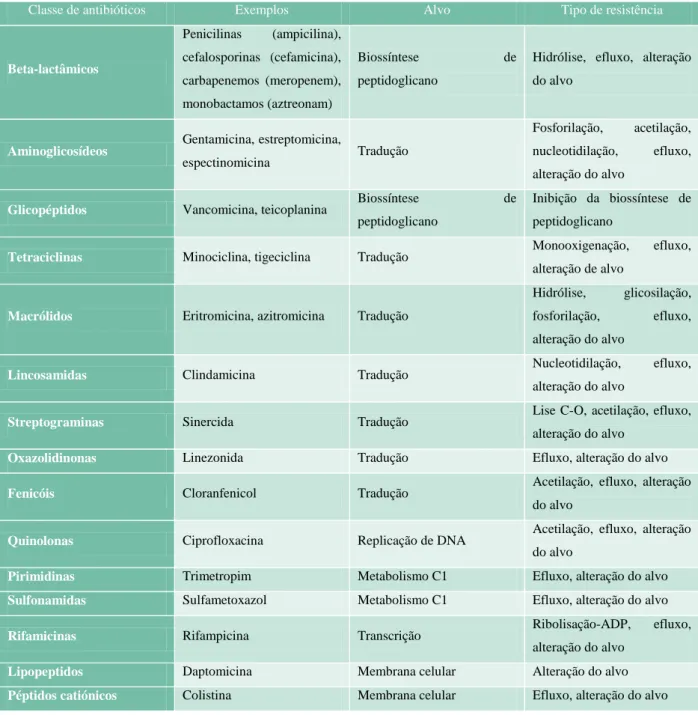Tabela  5.    Principais  classes  de  antibióticos  utilizados  na  terapêutica,  respetivos  mecanismos  de  ação  e  resistências  observadas  aos  mesmos  (Adaptado  de  Davies  e  Davies, 2010)