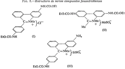 FIG.  3.-Estructura  de  varios  compuestos  fenantridhicos  NH.CO.OEt  \  / C=NMe  /  +  cl- &gt;  EtO.CO.HN&amp;?$===&amp;NH.CO.OEt  Me  EtO.CO.NH  /  (1)  NH,  /  q-p  C=N=e  EtSO;  &gt;  a  /  /  EtO.COdH 