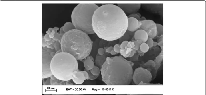 Figure 1 Scanning electron micrograph of sample ZnPcS 4 -AN. The photomicrography shows the spherical shape of the nanospheres with smooth surface