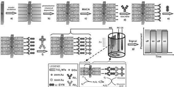 Figure 1.3 - Scheme of the sensor developed by Yarui et al. [34]. 