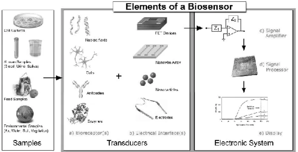 Figure 1.5 - Typical elements of a biosensor [37]. 