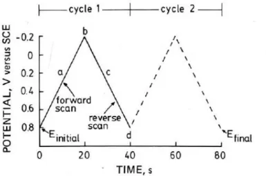 Figure 1.11 - Typical excitation signal for cyclic voltammetry [100]. 