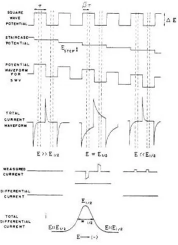 Figure 1.12 - Waveforms employed and obtained in SWV [101]. 