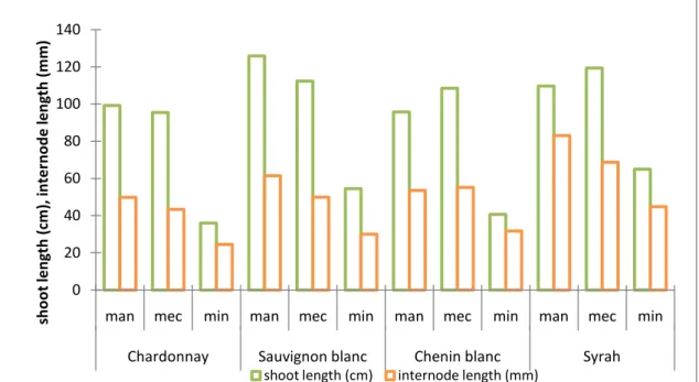 Figure 6. Evolution of primary shoot and internode length of manual, mechanical and minimal  pruned Chardonnay, Sauvignon blanc, Chenin blanc and Syrah