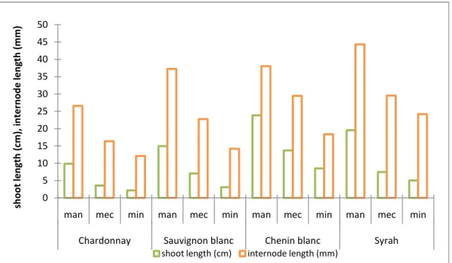 Figure 7. Evolution of lateral shoot and internode length of manual, mechanical and minimal pruned  Chardonnay, Sauvignon blanc, Chenin blanc and Syrah