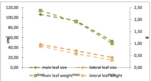 Figure 11. Weight (g fresh mass) and size of main and lateral Chardonnay leaves at harvest date