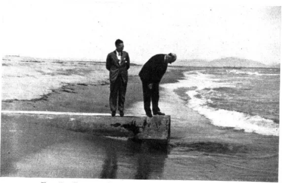 FIG.  3.-LAGOON  OLTLET  STRWTCRE  IN  OPERATIOS 