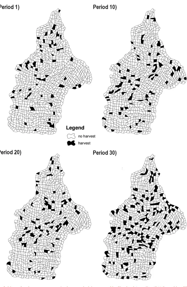 Fig. 2. Maps of study case area presenting harvest schedule generated by Simulated Annealing (SA) for problem III