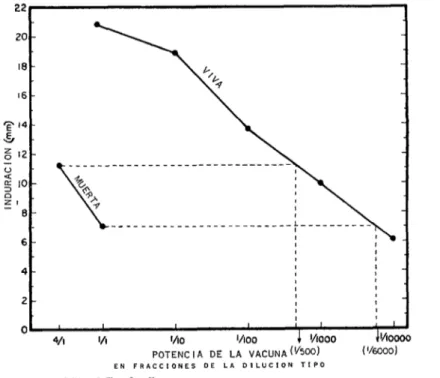 FIG.  2.-Dimensiones  medias  de  la  induración  de  las  reacciones  a  la  Mantoux 