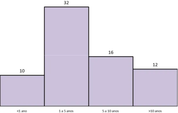 Gráfico n.º 05 – Histograma de distribuição de experiência profissional na intervenção com  crianças com PEA 
