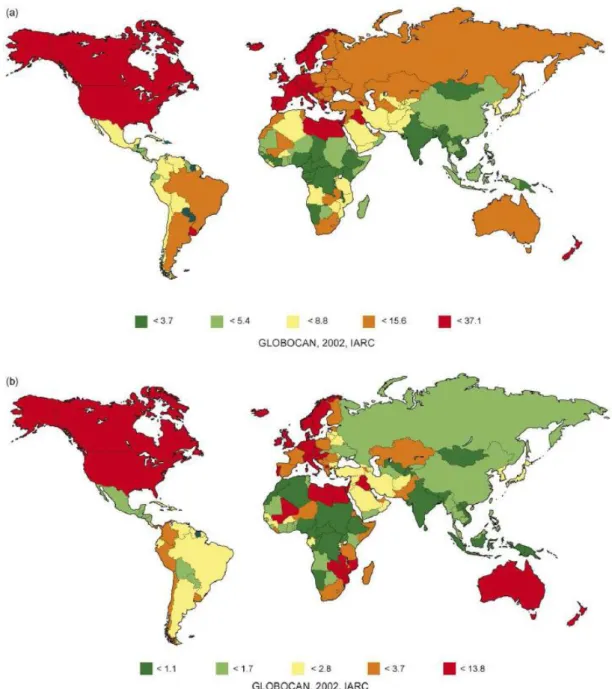 Figura 2 Taxas de incidência mundiais de carcinoma da bexiga standarizadas pela idade  (por 100 000 individuos): a) sexo masculino, b) sexo feminino