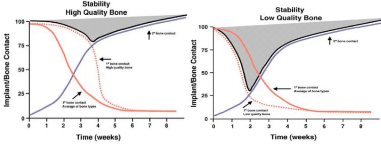 Figura  11  –  A  estabilidade  de  um  implante  colocado  num  osso  denso  é  alta  (área  cinzenta  à  esquerda)  enquanto  que  num  osso  pouco  denso  é  baixa  (área  cinzenta  à  direita)