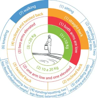 Figure 9 - Classifi cation of body part posture in purify the swimming pool Source:  Elaborated by the authors as a result of the OWAS assessment 