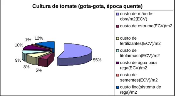 Figura  8.  Gráfico  comparativo  de  elementos  na  formação  de  custos  médios  de  produção de tomate, nos dois sistemas de rega no período quente 