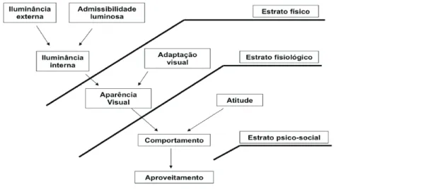 Figura 2. Luz, visão e comportamento.