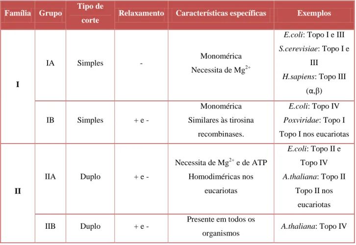 Tabela 2. Classificação das topoisomerases celulares e suas propriedades estruturais e funcionais  (Champoux, 2001 e Corbett &amp; Berger, 2004)