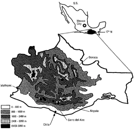 Figure  1.  A map  of Mexico’s  Oaxaca  State  showing  the location  of Cerro  de1 Aire