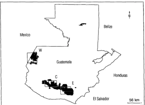 Figure  1A.  A  total  of  1  288  triangles  are  plotted  on  the  map  of  Guatemala,  these  representing  communities  located  between  500  and  1  500  meters  elevation,  most  of  them  within  or  bordering  the  western  (W),  central  (C),  an