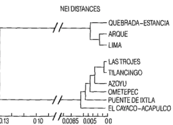 Figure  1.  Dendogram  of  the  presumed 