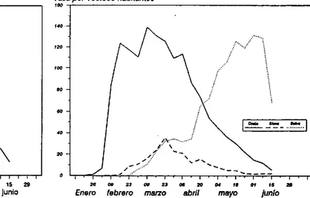 Figura 2. Tasa de incidencia  semanal  de cólera  en tres regiones de Perú,  1991.