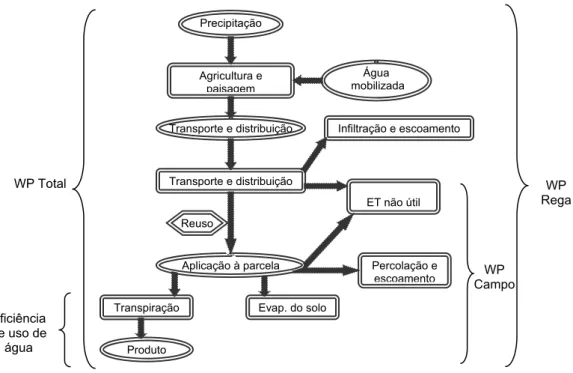 Figura 2 – Diferentes definições de produtividade da água e eficiência de uso de água (Fonte: Pereira,  2007)