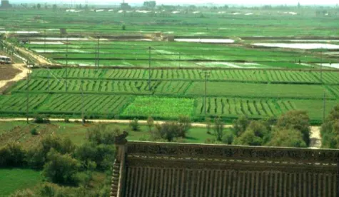 Figura 10 – Agricultura de regadio em Ningxia; associação de milho e trigo e arrozais (Fonte: Campos et al.,  2003)