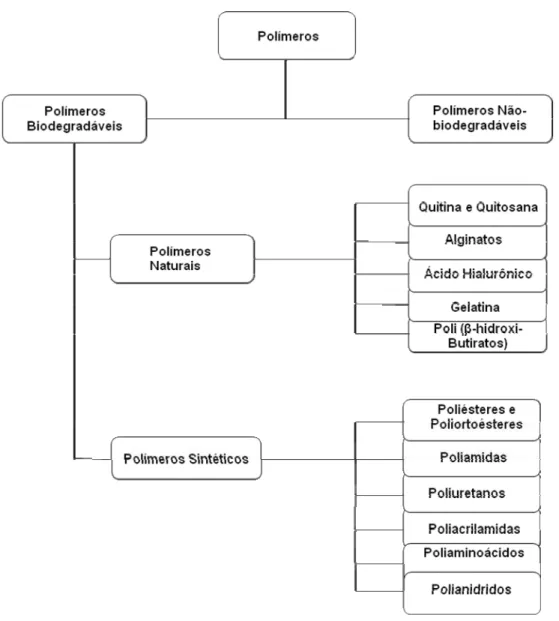 Figura 3. Classificação dos polímeros usados em sistemas de transporte de  drogas.  