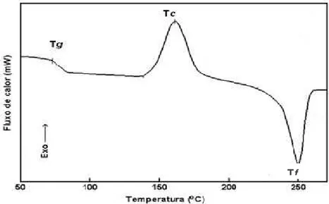 Figura 7. Curva típica de DSC. 