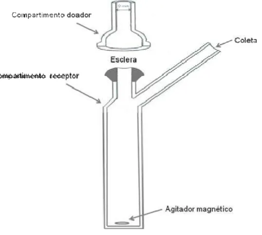 Figura 12. Representação esquemática da Célula de Franz utilizada no estudo 