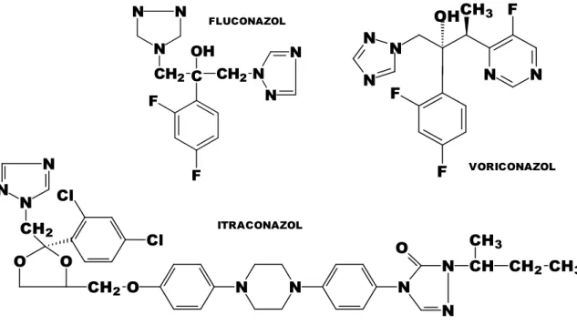 Figura 11- Estrutura química dos triazólicos. Fonte: 