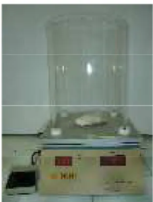 Figura 10 H Detalhe do camundongo  no aparelho do teste da placa quente