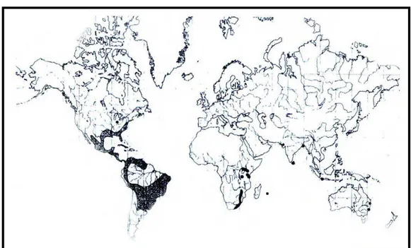 Figura 1 – Distribuição mundial do gênero Richardia. 