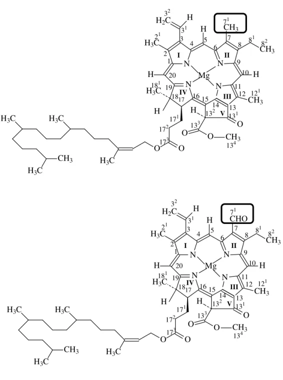 Figura 8 – Diferença estrutural entre as clorofilas a e b, respectivamente (TOMAZ, 2008)