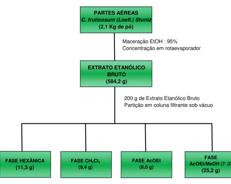 Figura  4:  Obtenção  e  particionamento  do  EEB  das  partes  aéreas  de            Combretum fruticosum (Loefl.) Stuntz .