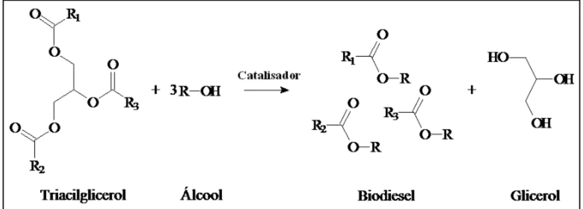 Figura 3.1  –  Reação de t ransest erificação de t riacilglicerídeos ( LÔBO et  al, 2009) 