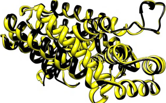 Figura  39:   Alinhamento   estrutural   da   FPPS,   amarelo,   com   seu   molde   em   preto.