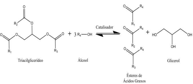 Figura 3.1: Reação de Transesterificação, onde R 1 , R 2 , R 3  são cadeias carbônicas  dos ácidos graxos