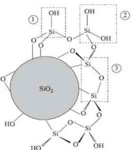 Figura 3.4. Desidratação da superfície da sílica na formação do grupo siloxano. 