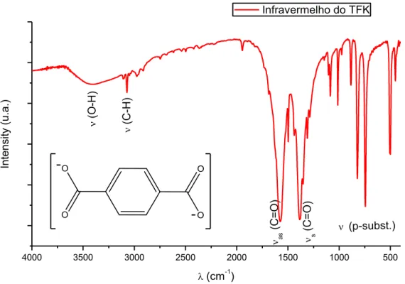 Figura 5.1. Espectro na região do infravermelho do TFK obtido da reação de  despolimerização do PET