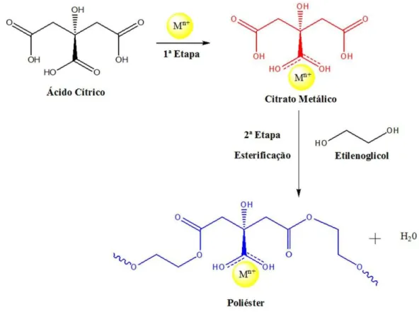 Figura 3.6 Reações orgânicas envolvidas no processo dos precursores poliméricos   (Fonte: Adaptado de JANA et al., 2010) 