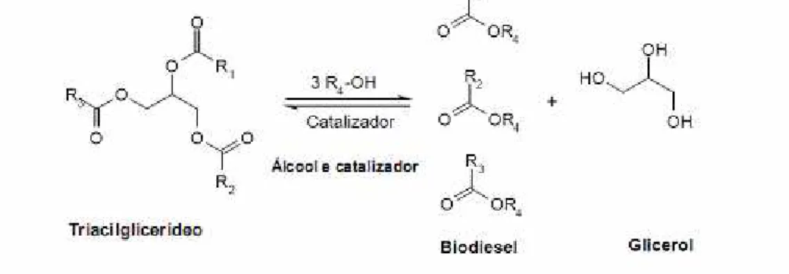 Figura 1 . Reação de t ransest erificação do t riacilglicerídeo.  