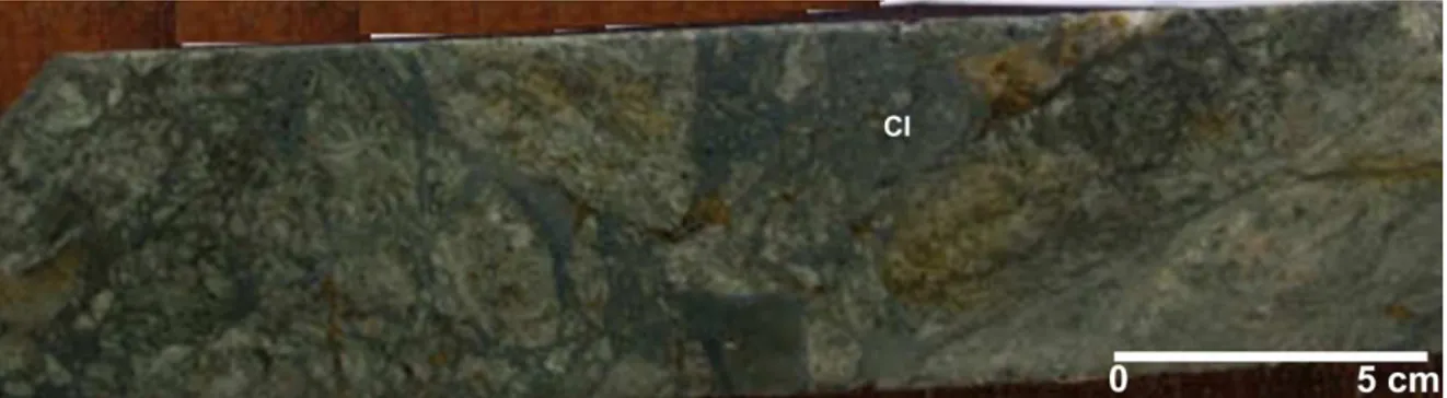 Figura 8- Brecha  hidrotermal com matriz fina composta por clorita, evidenciando alteração  por cloritização
